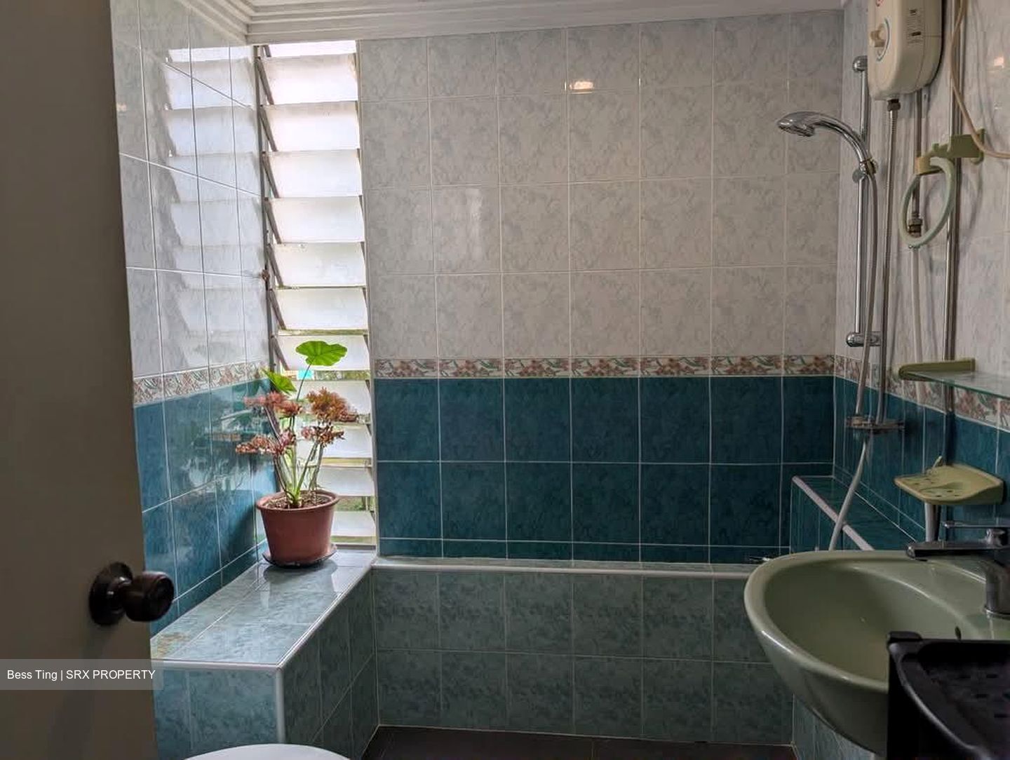 Pandan Valley (D21), Condominium #544932161